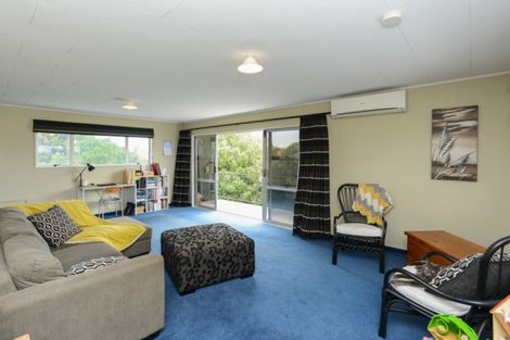 Photo of property in 502 Poplar Place, Akina, Hastings, 4122