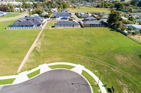 Photo of property in 21 Campbell Place, Marton, 4710