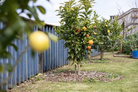 Photo of property in 136 Wasley Lane, Kawhia, 3889