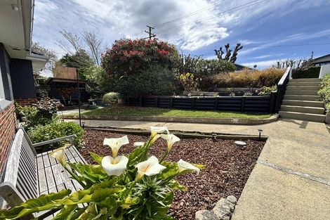 Photo of property in 42 Bridger Street, Maryhill, Dunedin, 9011