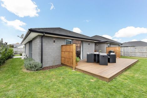 Photo of property in 2 Dyer Lane, Cambridge, 3434