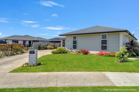 Photo of property in 17 Morrell Street, Tawhero, Whanganui, 4501