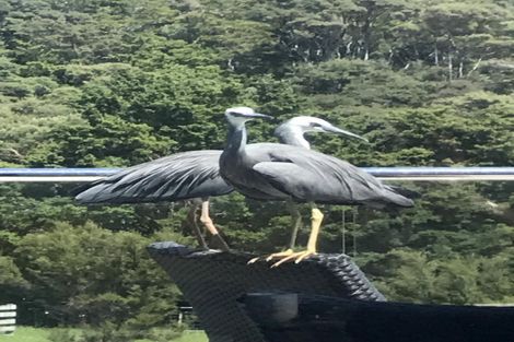 Photo of property in 397 Cames Road, Kaiwaka, Wellsford, 0975