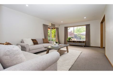 Photo of property in 60b Opawa Road, Waltham, Christchurch, 8023