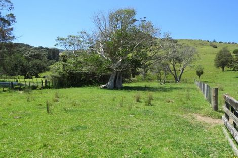 Photo of property in 1030 Colville Road, Amodeo Bay, Coromandel, 3584