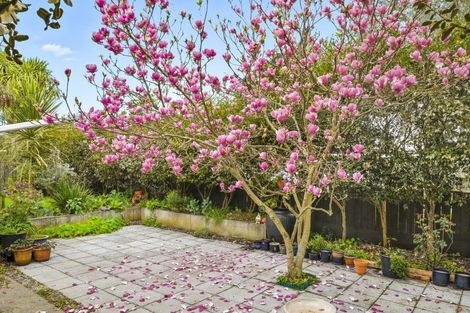 Photo of property in 79 Kawiu Road, Levin, 5510