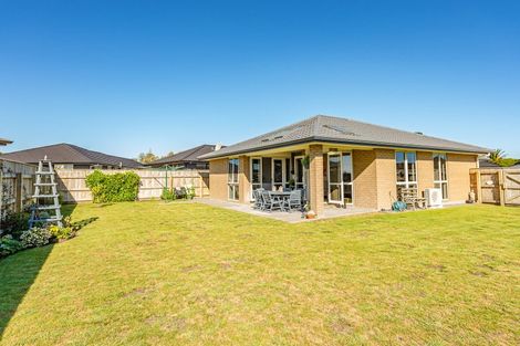 Photo of property in 63 Tawhero Street, Gonville, Whanganui, 4501
