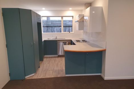 Photo of property in 100a Charles Street, Waltham, Christchurch, 8011