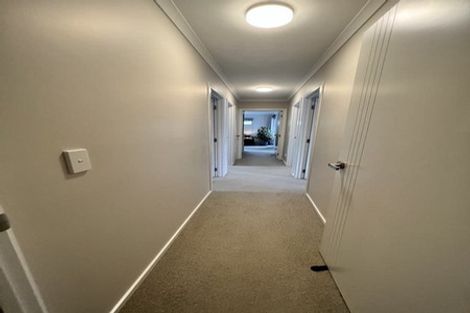 Photo of property in 3 Walker Terrace, Dinsdale, Hamilton, 3204