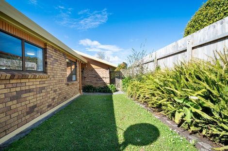 Photo of property in 17 Palomino Drive, Henderson, Auckland, 0612