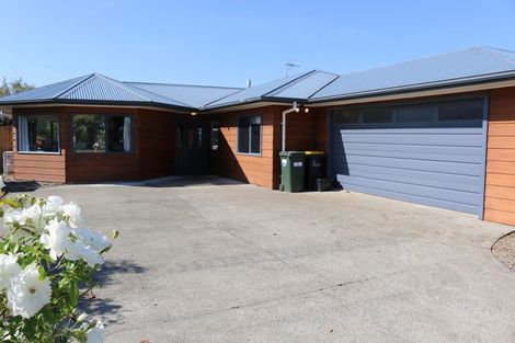 Photo of property in 35 Sherwill Street, Feilding, 4702