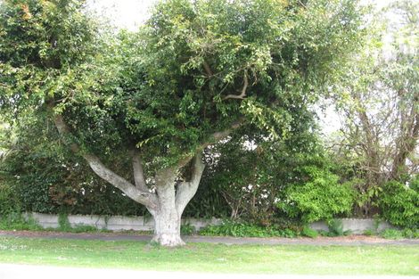 Photo of property in 120 Whitaker Street, Whataupoko, Gisborne, 4010