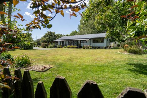 Photo of property in 4/193 Racecourse Road, Cambridge, 3493