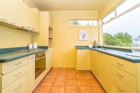 Photo of property in 19 Forfar Street, Clyde Hill, Dunedin, 9011