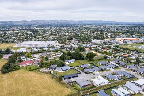 Photo of property in 22 Whatman Avenue, Masterton, 5810