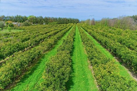 Photo of property in 19 Pilmer Road, Makauri, Gisborne, 4071