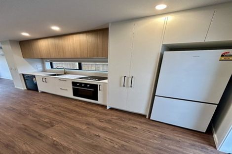 Photo of property in 21a Ferguson Street, Levin, 5510