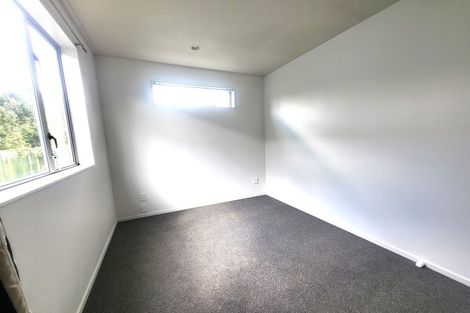 Photo of property in 356 Peachgrove Road, Fairfield, Hamilton, 3214