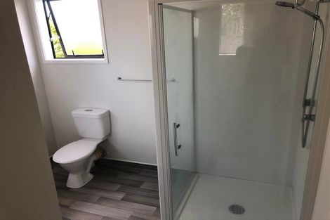 Photo of property in 17 Blumhardt Place, Avondale, Auckland, 1026