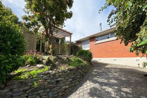 Photo of property in 16 Forfar Street, Clyde Hill, Dunedin, 9011