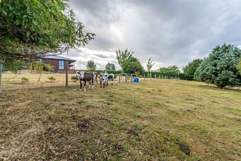 Photo of property in 141 Mckinnon Road, Whiterigg, Gore, 9775