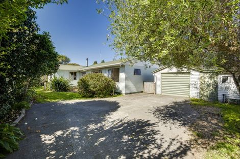 Photo of property in 709b Duke Street, Mahora, Hastings, 4120