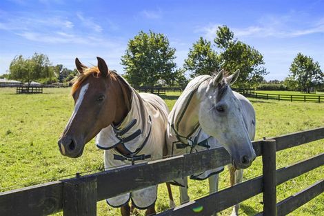 Photo of property in 330g Pencarrow Road, Tamahere, Hamilton, 3283