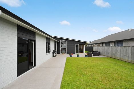 Photo of property in 224 Cumberland Drive, Flagstaff, Hamilton, 3210