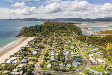 Photo of property in 113 Opera Place, Whangapoua, Coromandel, 3582