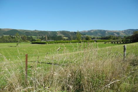 Photo of property in 45 Mill Road, Waimate, 7924