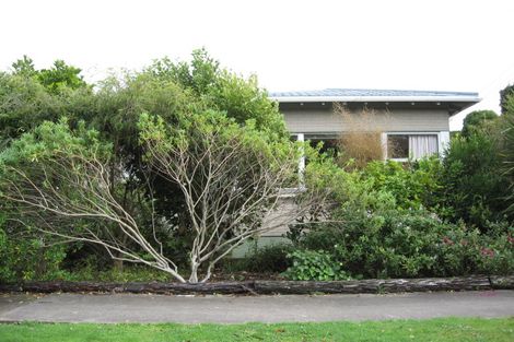 Photo of property in 8 Rhodes Avenue, Mount Albert, Auckland, 1025