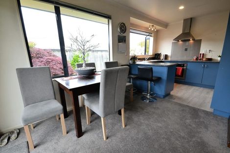 Photo of property in 15 Appaloosa Avenue, Richmond, 7020