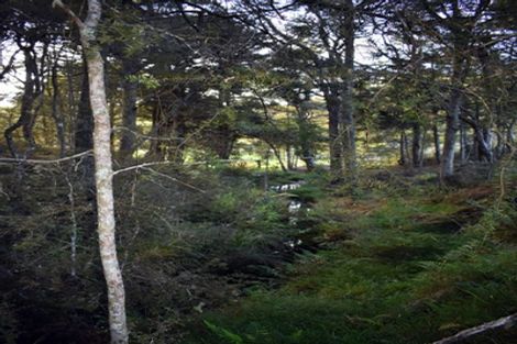 Photo of property in 53 De Boer Lane, Mangawhai, Kaiwaka, 0573