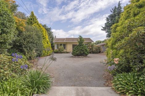 Photo of property in 37 Mcsaveneys Road, Marshland, Christchurch, 8051