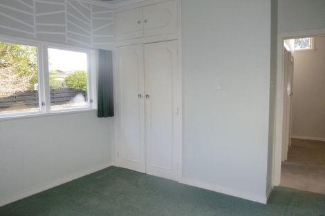 Photo of property in 60 Wakeman Street, Pahiatua, 4910