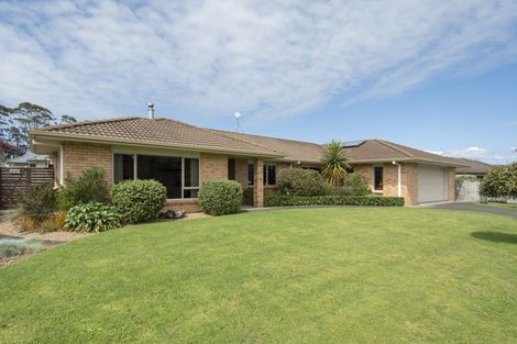 Photo of property in 29 Longmynd Drive, Katikati, 3129