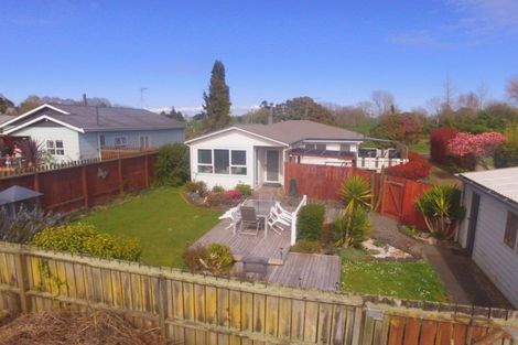 Photo of property in 113 Buckland Street, Putaruru, 3411