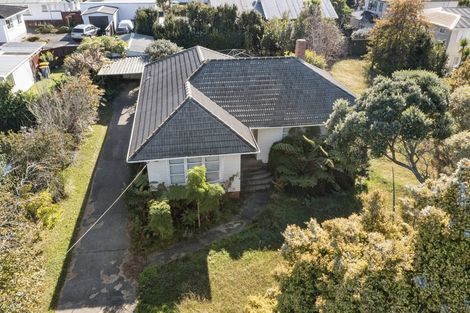 Photo of property in 53 Glengarry Road, Glen Eden, Auckland, 0602