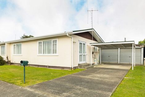 Photo of property in 19 Blenheim Place, Feilding, 4702