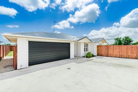 Photo of property in 91 Tiro Tiro Road, Levin, 5510