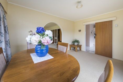 Photo of property in 19 Erin Street, Hokowhitu, Palmerston North, 4410
