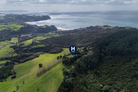 Photo of property in 425n Boat Harbour Road, Whenuakite, Whitianga, 3591