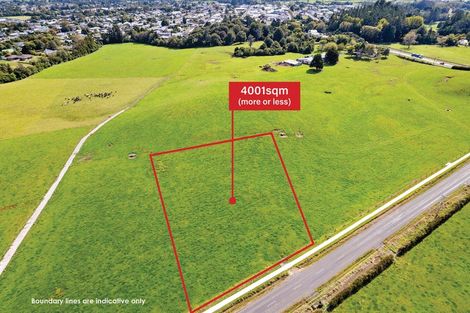 Photo of property in 26 Dudley Road, Inglewood, 4386