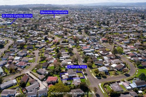 Photo of property in 12 Ronald Place, Manurewa, Auckland, 2102