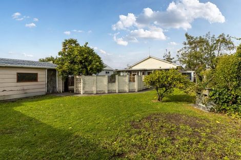 Photo of property in 17 Nosworthy Street, Blenheim, 7201