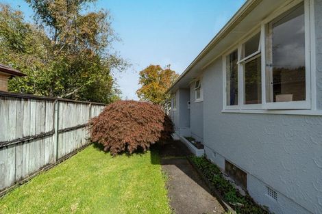 Photo of property in 38 Douglas Crescent, Fairfield, Hamilton, 3214