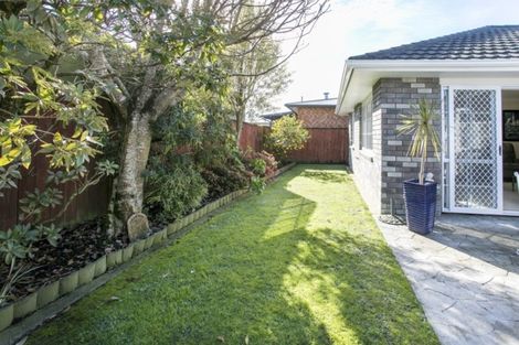Photo of property in 58 Windsor Street, Terrace End, Palmerston North, 4410