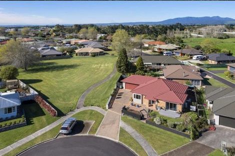 Photo of property in 17 Lansdowne Road, Katikati, 3129