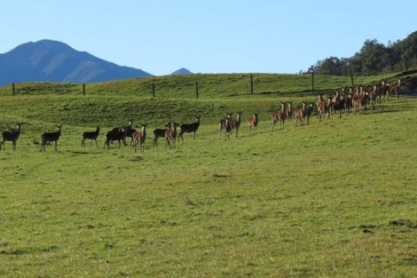 Photo of property in 4573 Shenandoah Highway, Maruia, Reefton, 7077