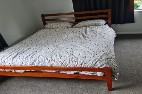 Photo of property in 97 Avenue North Road, Levin, 5510